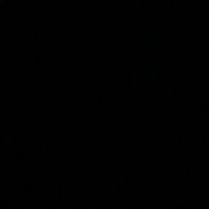 Meet your Posher, Gavin